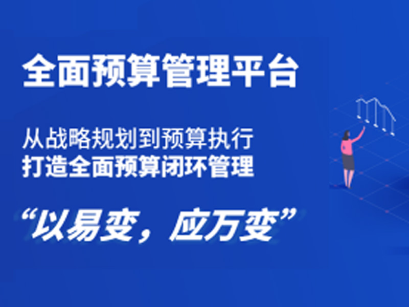预算一體(tǐ)化管理(lǐ)平台